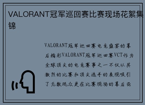 VALORANT冠军巡回赛比赛现场花絮集锦