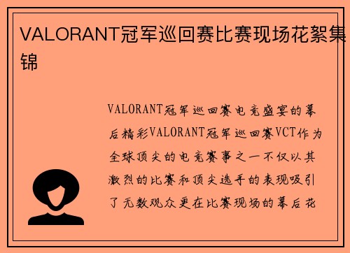 VALORANT冠军巡回赛比赛现场花絮集锦