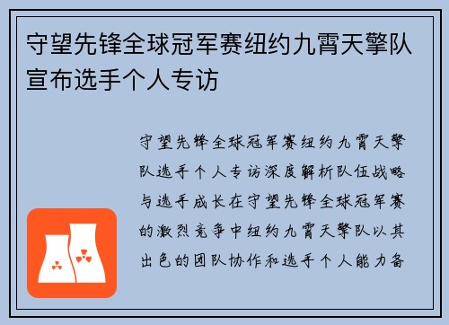 守望先锋全球冠军赛纽约九霄天擎队宣布选手个人专访